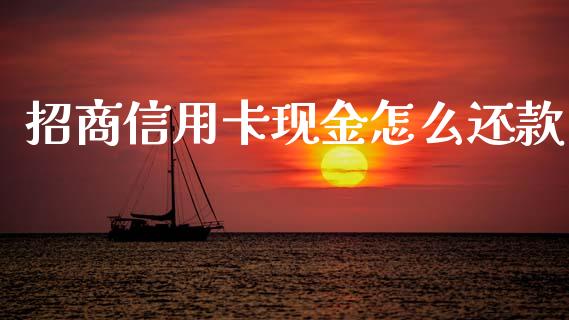 招商信用卡现金怎么还款_https://m.jnlaobingbanjia.com_股市新闻_第1张