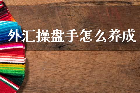 外汇操盘手怎么养成_https://m.jnlaobingbanjia.com_基金市场_第1张
