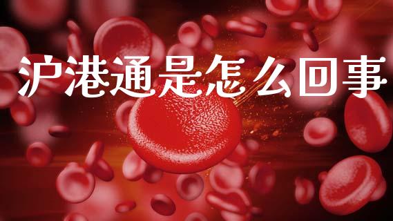 沪港通是怎么回事_https://m.jnlaobingbanjia.com_全球市场_第1张