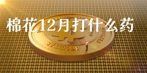 棉花12月打什么药_https://m.jnlaobingbanjia.com_全球市场_第1张