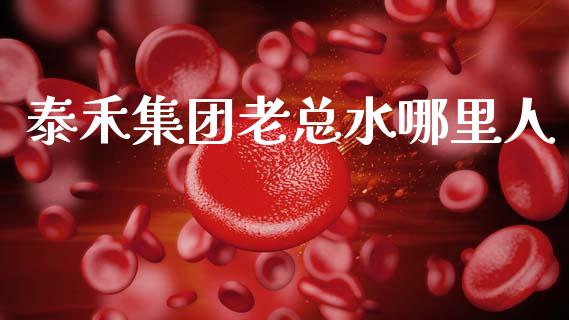 泰禾集团老总水哪里人_https://m.jnlaobingbanjia.com_全球市场_第1张