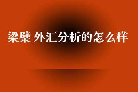 梁檗 外汇分析的怎么样_https://m.jnlaobingbanjia.com_区块链_第1张