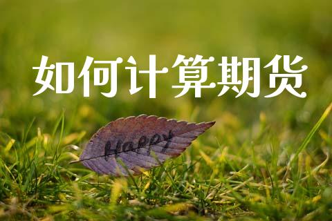 如何计算期货_https://m.jnlaobingbanjia.com_理财规划_第1张