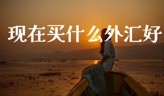 现在买什么外汇好_https://m.jnlaobingbanjia.com_区块链_第1张