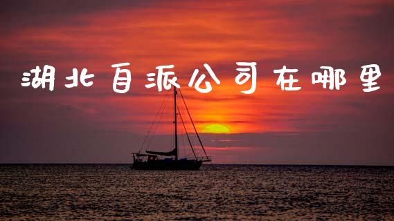 湖北自派公司在哪里_https://m.jnlaobingbanjia.com_股市新闻_第1张