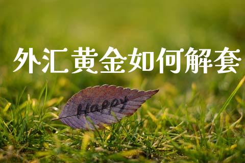 外汇黄金如何解套_https://m.jnlaobingbanjia.com_理财规划_第1张