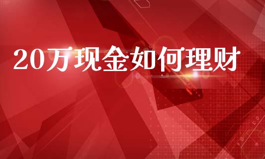 20万现金如何理财_https://m.jnlaobingbanjia.com_金融监管_第1张