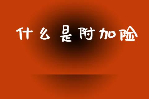 什么是附加险_https://m.jnlaobingbanjia.com_基金市场_第1张