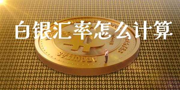 白银汇率怎么计算_https://m.jnlaobingbanjia.com_股市新闻_第1张