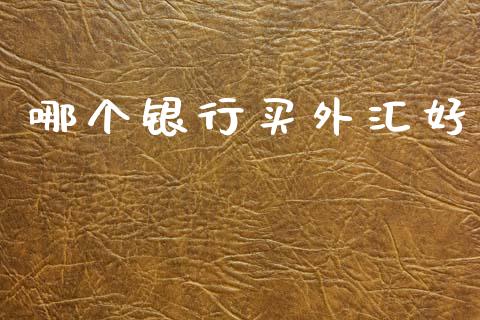 哪个银行买外汇好_https://m.jnlaobingbanjia.com_基金市场_第1张