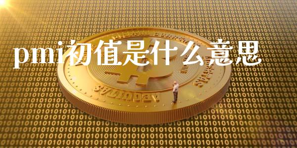 pmi初值是什么意思_https://m.jnlaobingbanjia.com_基金市场_第1张