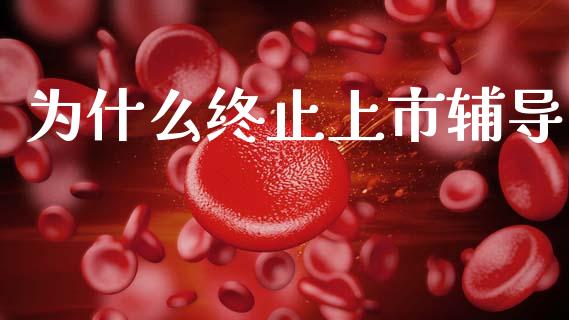 为什么终止上市辅导_https://m.jnlaobingbanjia.com_理财规划_第1张