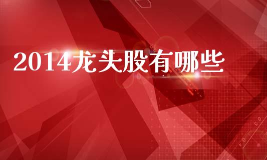 2014龙头股有哪些_https://m.jnlaobingbanjia.com_理财规划_第1张