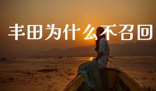 丰田为什么不召回_https://m.jnlaobingbanjia.com_股市新闻_第1张