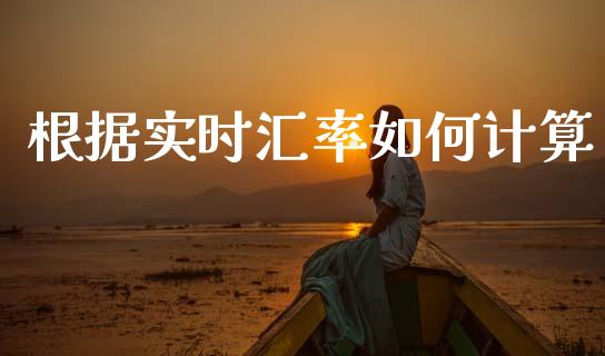 根据实时汇率如何计算_https://m.jnlaobingbanjia.com_金融监管_第1张