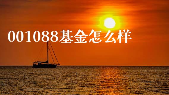 001088基金怎么样_https://m.jnlaobingbanjia.com_基金市场_第1张
