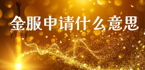 金服申请什么意思_https://m.jnlaobingbanjia.com_理财规划_第1张