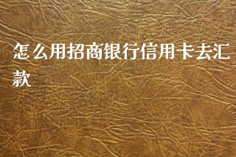 怎么用招商银行信用卡去汇款_https://m.jnlaobingbanjia.com_理财规划_第1张