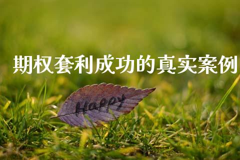 期权套利成功的真实案例_https://m.jnlaobingbanjia.com_基金市场_第1张