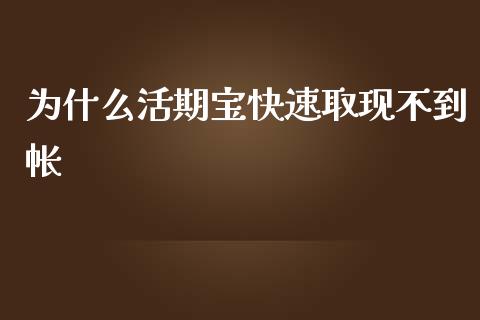 为什么活期宝快速取现不到帐_https://m.jnlaobingbanjia.com_金融监管_第1张