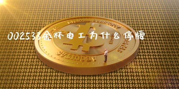 002533金杯电工为什么停牌_https://m.jnlaobingbanjia.com_全球市场_第1张