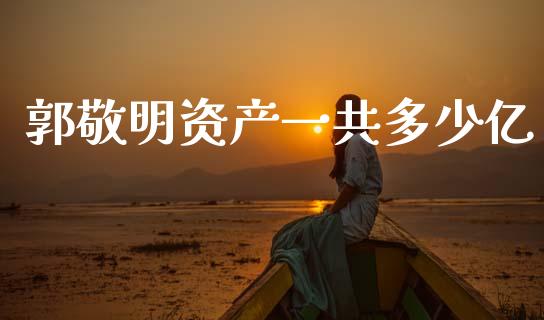 郭敬明资产一共多少亿_https://m.jnlaobingbanjia.com_理财规划_第1张