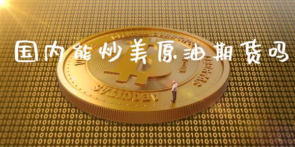 国内能炒美原油期货吗_https://m.jnlaobingbanjia.com_金融监管_第1张