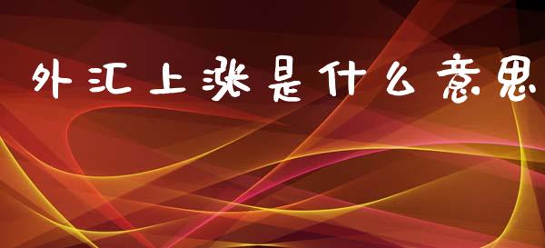 外汇上涨是什么意思_https://m.jnlaobingbanjia.com_基金市场_第1张