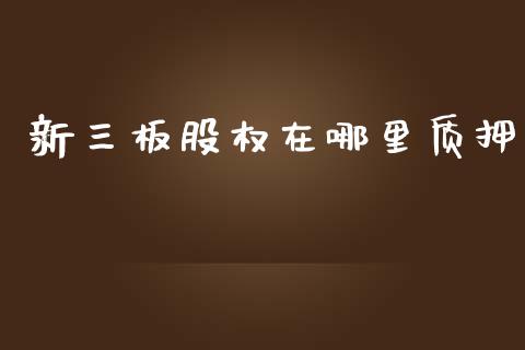 新三板股权在哪里质押_https://m.jnlaobingbanjia.com_理财规划_第1张