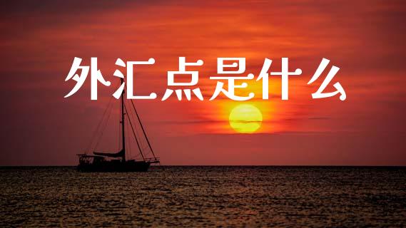 外汇点是什么_https://m.jnlaobingbanjia.com_理财规划_第1张