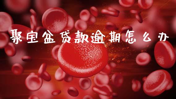 聚宝盆贷款逾期怎么办_https://m.jnlaobingbanjia.com_理财规划_第1张