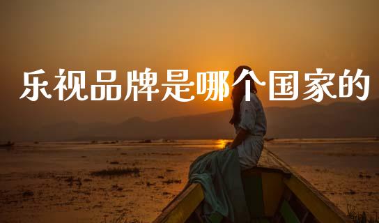 乐视品牌是哪个国家的_https://m.jnlaobingbanjia.com_理财规划_第1张