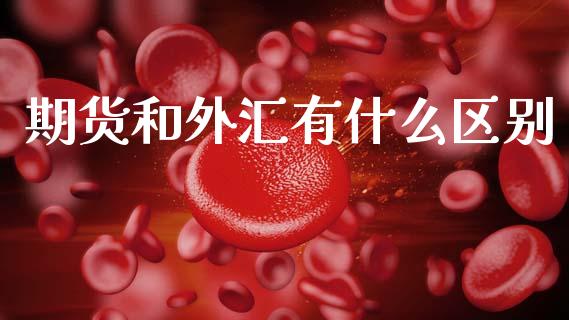 期货和外汇有什么区别_https://m.jnlaobingbanjia.com_基金市场_第1张