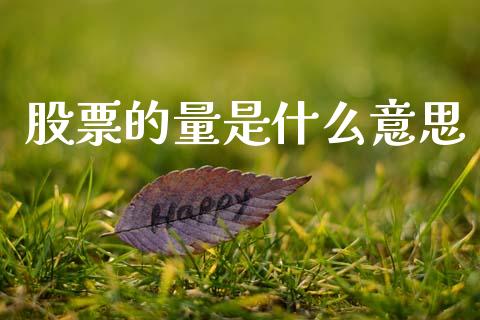 股票的量是什么意思_https://m.jnlaobingbanjia.com_金融监管_第1张