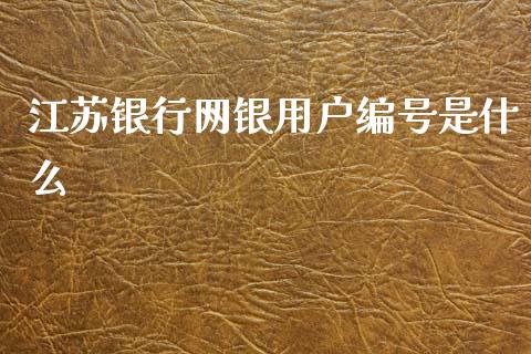 江苏银行网银用户编号是什么_https://m.jnlaobingbanjia.com_金融监管_第1张