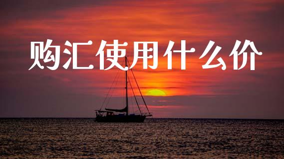 购汇使用什么价_https://m.jnlaobingbanjia.com_基金市场_第1张