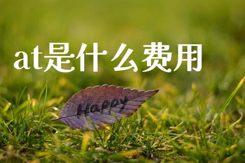 at是什么费用_https://m.jnlaobingbanjia.com_基金市场_第1张