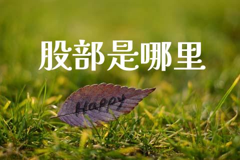 股部是哪里_https://m.jnlaobingbanjia.com_股市新闻_第1张