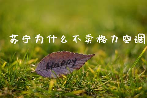 苏宁为什么不卖格力空调_https://m.jnlaobingbanjia.com_金融监管_第1张