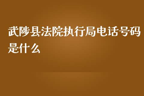 武陟县法院执行局电话号码是什么_https://m.jnlaobingbanjia.com_金融监管_第1张