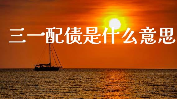 三一配债是什么意思_https://m.jnlaobingbanjia.com_基金市场_第1张