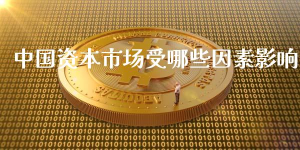 中国资本市场受哪些因素影响_https://m.jnlaobingbanjia.com_理财规划_第1张