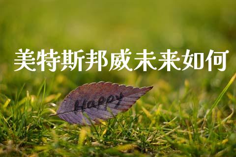 美特斯邦威未来如何_https://m.jnlaobingbanjia.com_全球市场_第1张
