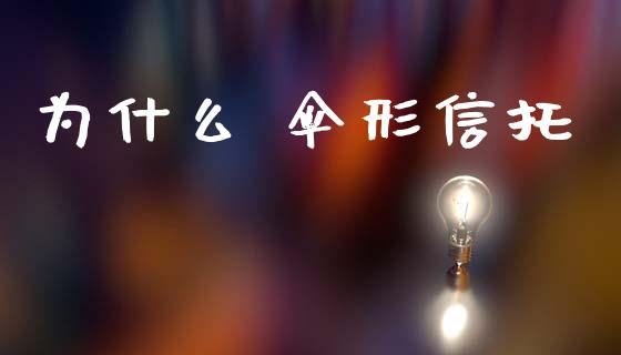 为什么 伞形信托_https://m.jnlaobingbanjia.com_金融监管_第1张