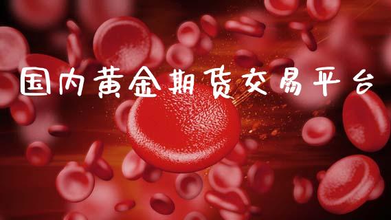 国内黄金期货交易平台_https://m.jnlaobingbanjia.com_基金市场_第1张