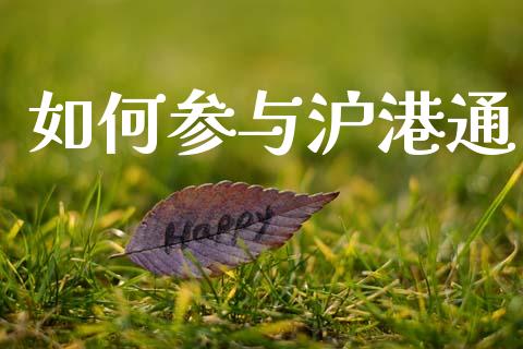 如何参与沪港通_https://m.jnlaobingbanjia.com_区块链_第1张