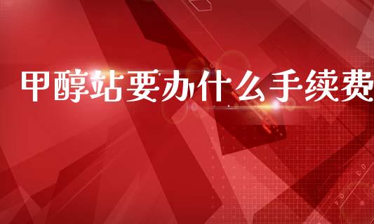 甲醇站要办什么手续费_https://m.jnlaobingbanjia.com_股市新闻_第1张