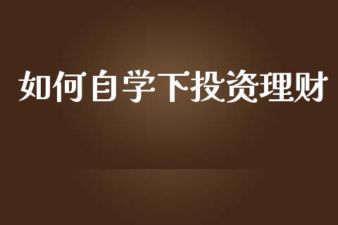 如何自学下投资理财_https://m.jnlaobingbanjia.com_金融监管_第1张