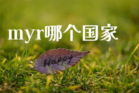 myr哪个国家_https://m.jnlaobingbanjia.com_全球市场_第1张