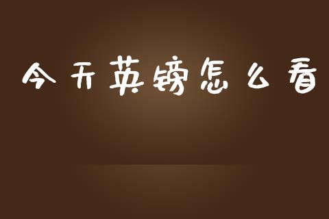 今天英镑怎么看_https://m.jnlaobingbanjia.com_基金市场_第1张